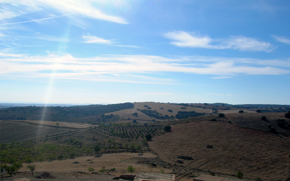 Ciudad Real: el filón de la monacita gris