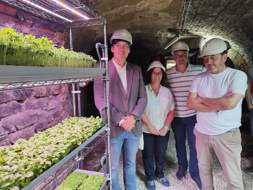 Consejero en un tunel de la Raya delPozoCarrio